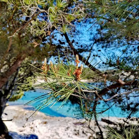 Apartamento Andreas - Amphitheater With Free Parking- *