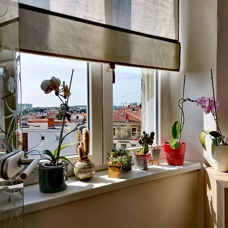 Andreas - Amphitheater With Free Parking- Pula