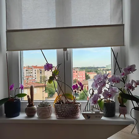 Andreas - Amphitheater With Free Parking- Apartamento *